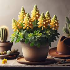 Yellow Bonnets Flower Seeds for Planting – Long Bloom Season, Heirloom, Non-GMO, High Germination Organic Garden Seeds