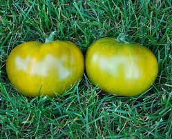 Green Tomato Seeds for Planting – Heirloom & Non-GMO Seeds, Tart Fruits for Unique Garden Recipes