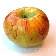 Fruit Seeds,Garden seeds, Seeds For Planting,Plant Seeds