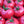 Baby Pink Tomato Seeds for Planting – Heirloom & Non-GMO Vegetable Seeds, Petite Tomatoes for Salads