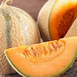 Blue Cantaloupe fruit seeds for planting - Heirloom & Non-GMO Garden seeds