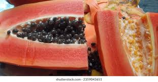 Burgundy Papaya seeds for planting - Heirloom & Non-GMO Garden seeds, rich tropical fruit variety for garden spaces