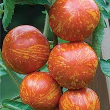 Zebra Tomato Seeds for Planting – Heirloom & Non-GMO Vegetable Seeds