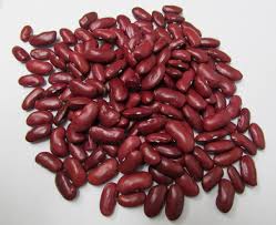 Dark Red Kidney Bean Seeds for Planting – Heirloom, Non-GMO, High Germination Organic Garden Seeds