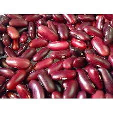 Dark Red Kidney Bean Seeds for Planting – Heirloom, Non-GMO, High Germination Organic Garden Seeds