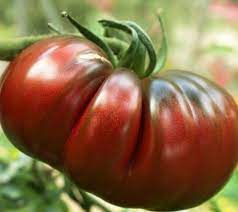 Burgundy Tomato Vegetable Seeds for Planting – Heirloom & Non-GMO Seeds for Rich, Dark Garden Tomatoes