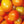 Amanas Orange Tomato Seeds for Planting – Rare Heirloom Non-GMO, High Germination Organic Garden Seeds