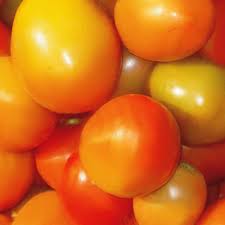Tomato Vegetable Seeds for Planting – Heirloom Non-GMO, Deep Orange Hybrid, High Germination Organic Garden Seeds