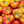 Beefsteak Tomato Seeds for Planting – Heirloom, Non-GMO Yellow & Red Organic Seeds –  Large Fruits, High Germination