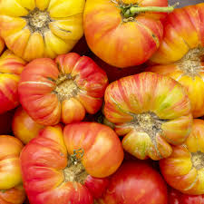 Huge Tomato Seeds for Planting – Light Orange Heirloom Non-GMO Organic Garden Seeds, High Germination for Slicing