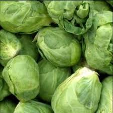 Catskill Brussels Vegetable Seeds for Planting – Heirloom Non-GMO Organic Garden Seeds – Compact Sprouts for Cooler Seasons