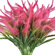 Red Purple Pteris Flower Seeds for Planting – Heirloom, Non-GMO, Cottage Garden Essential Organic Garden Seeds