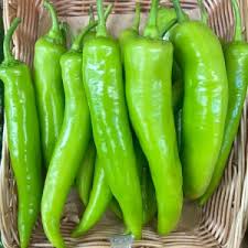 Capsicum Pepper Seeds for Planting – Heirloom, Non-GMO – Vibrant, Crunchy Sweet Peppers for Organic Gardens