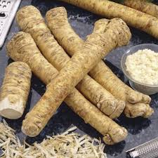 Horseradish Seeds for Planting – Heirloom, Non-GMO, High Germination Organic Root Seeds for Culinary Use