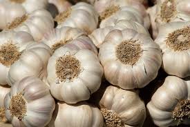 Garlic Vegetable Seeds for Planting – Heirloom & Non-GMO Organic Cloves for Kitchen Gardens