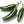 Big Jim Chilli Vegetable Seeds for Planting – Heirloom, Non-GMO, Organic Garden Seeds – High Germination, Smoky Hot Flavor