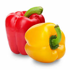 Capsicum Seeds for Planting – Heirloom Non-GMO Colorful & Crisp Bell Peppers – Organic Garden Seeds