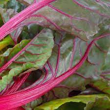 Pink Green Swiss Chard Vegetable Seeds for Planting – Heirloom &amp; Non-GMO Leafy Greens for Cooking