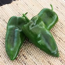 Green Poblano Vegetable Seeds for Planting – Heirloom & Non-GMO Garden Seeds