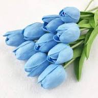 Tulip Sky Blue Flower Seeds for Planting – Cut Flower Favorite Heirloom, Non-GMO, High Germination Organic Garden Seeds