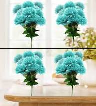 Light Blue Chrysanthemum Flower Seeds for Planting – Heirloom Non-GMO Organic Garden Seeds, High Germination