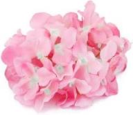 Light Pink Hydrangea Flower Seeds for Planting | Heirloom Non-GMO High Germination Organic Garden Seeds