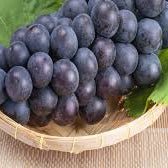 Dark Grey Grape fruit seeds for planting - Heirloom & Non-GMO Garden seeds, flavorful grapes for home gardens
