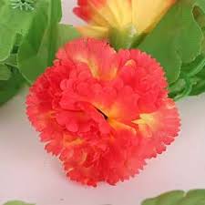 Light Orange Carnation Flower Seeds for Planting | Heirloom Non-GMO Wildflower Mix