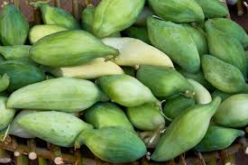 Cyclanthera Pedata Vegetable Seeds for Planting – Heirloom & Non-GMO Garden Seeds