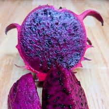 Lavender Pitaya fruit seeds for planting - Heirloom & Non-GMO Garden seeds