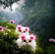 Pink Long Hair Cat&