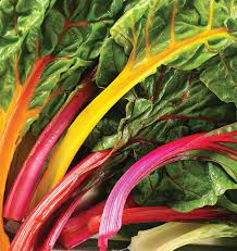Swiss Chard Rainbow Seeds – Heirloom, High Yield, Colorful Leafy Greens