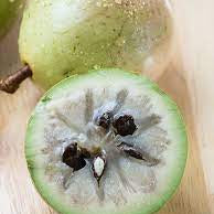 Fruit Seeds,Garden seeds, Seeds For Planting,Plant Seeds