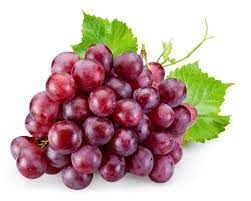 Fruit Seeds,Garden seeds, Seeds For Planting,Plant Seeds