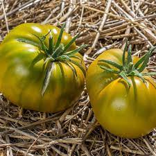 Green Cherokee Tomato Seeds for Planting – Heirloom & Non-GMO Vegetable Seeds for Fresh Harvests