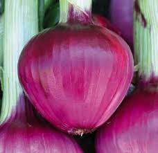 Rossa Tonda Vegetable Seeds for Planting – Heirloom Non-GMO Flavorful Variety for Gourmet Cooking