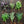 Aromatic Plants and Vegetable Seeds for Planting – Heirloom, Non-GMO, High Germination Organic Garden Seeds, Fragrant & Flavorful Mix