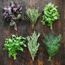 Aromatic Plants and Vegetable Seeds for Planting – Heirloom, Non-GMO, High Germination Organic Garden Seeds, Fragrant & Flavorful Mix