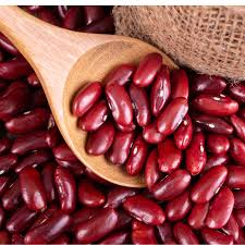 Kidney Bean Seeds for Planting – Heirloom Non-GMO High Germination Seeds for Organic Vegetable Gardens