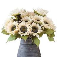 Sunflower White Flower Seeds for Planting | Heirloom Non-GMO Organic Garden Seeds, High Germination