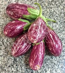 Listada de Gandia Eggplant Seeds – Heirloom, Non-GMO, Striped Tender Vegetable Seeds for Planting