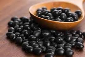 Black Soybean Seeds for Planting – Heirloom, Non-GMO, High Germination Organic Garden Seeds