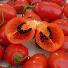 Rocoto Pepper Seeds for Planting – Heirloom Non-GMO High Germination Seeds for Organic Spicy Gardens