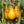 Yellow Pear Tomato flower seeds for planting - Heirloom & Non-GMO Garden Seeds