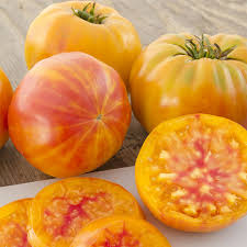 Pineapple Tomato Seeds for Planting – Heirloom, Non-GMO, High Germination