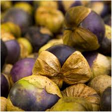 Tomatillos Seeds for Planting – Heirloom, Non-GMO, High Germination, Organic Garden Seeds for Tangy Fruits & Homemade Salsas