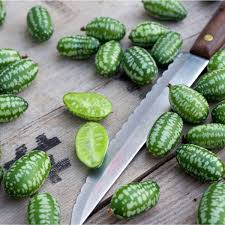 Green Cucamelon Seeds for Planting – Heirloom, Non-GMO, High Germination Organic Garden Seeds