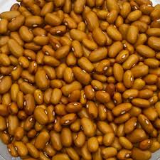 Brown Swedish Beans Vegetable Seeds for Planting – Heirloom & Non-GMO Garden Seeds for Traditional Dishes
