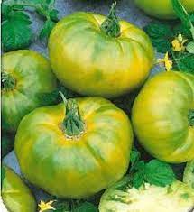 Green Tomato Seeds for Planting – Heirloom & Non-GMO Seeds, Tart Fruits for Unique Garden Recipes
