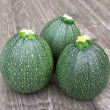 Round Courgette Seeds for Planting – Heirloom & Non-GMO, High Germination Organic Seeds for Globe-Shaped Squash and Stuffed Dishes